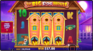 Free Spins в слоте The Big Dog House