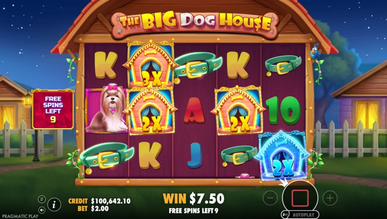 The Big Dog House — 2
